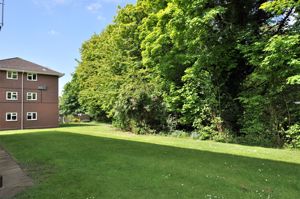 Communal Gardens- click for photo gallery